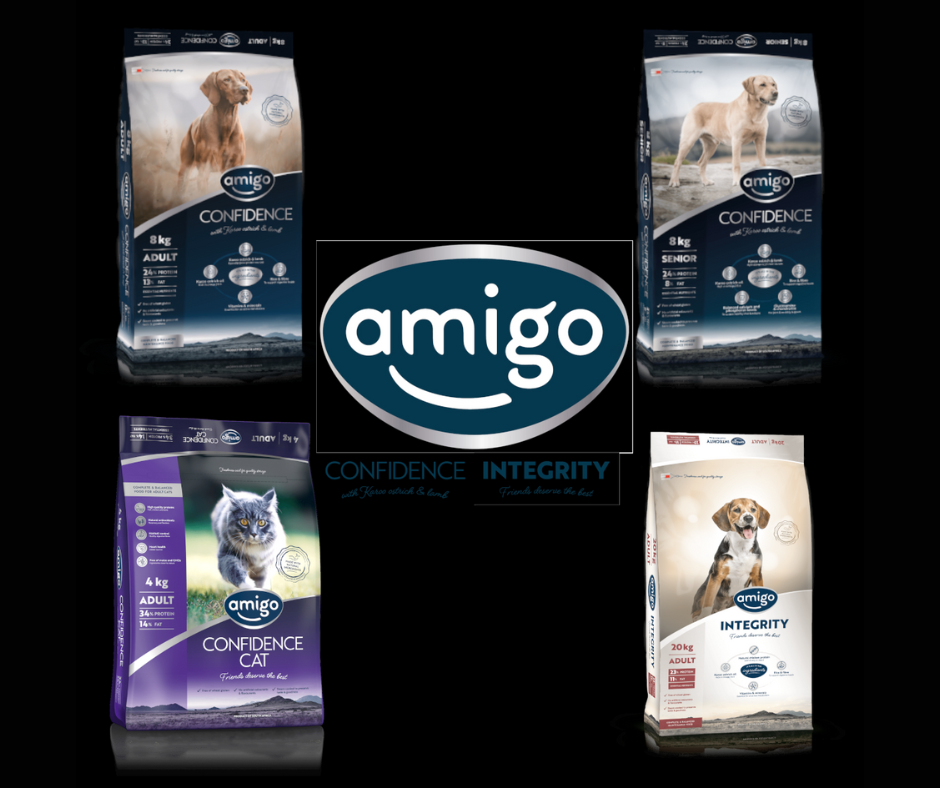 Amigo Card