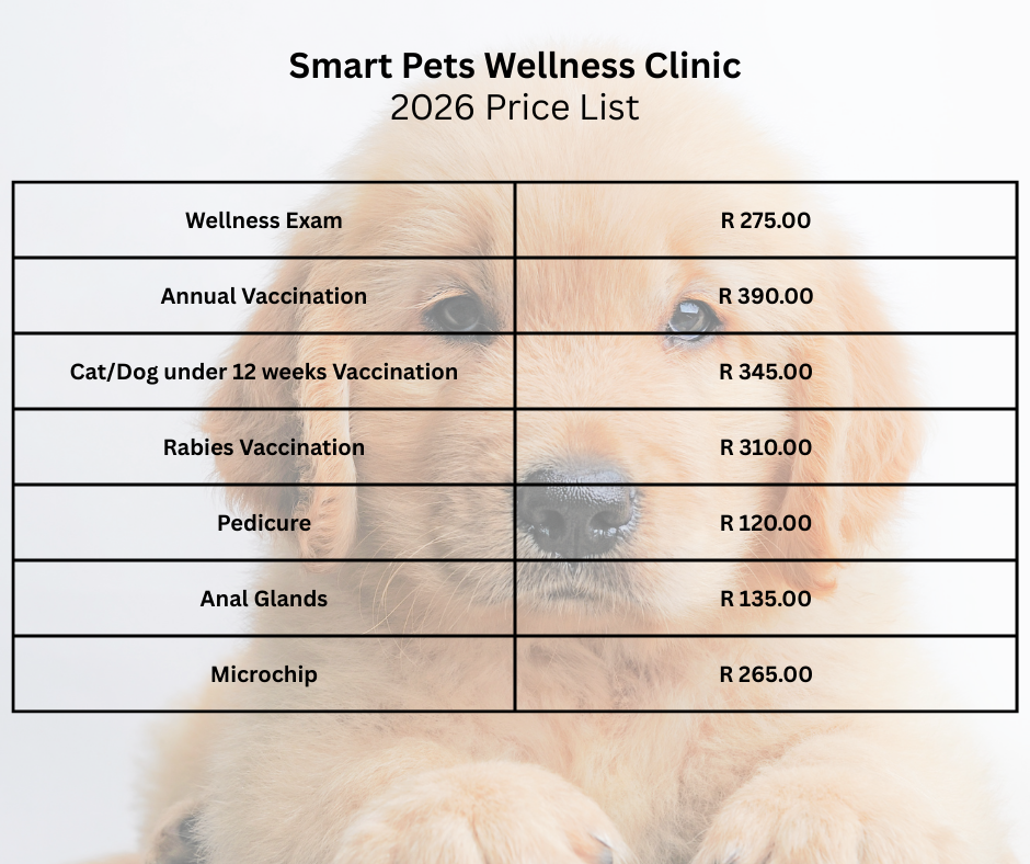 Wellness Clinic